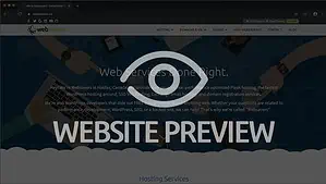 preview-website-plesk-wordpress-websavers