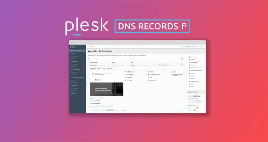 setup plesk to use external dns