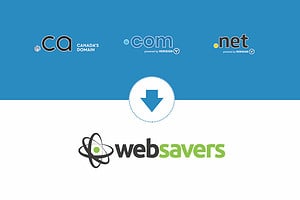 transfer domain to websavers