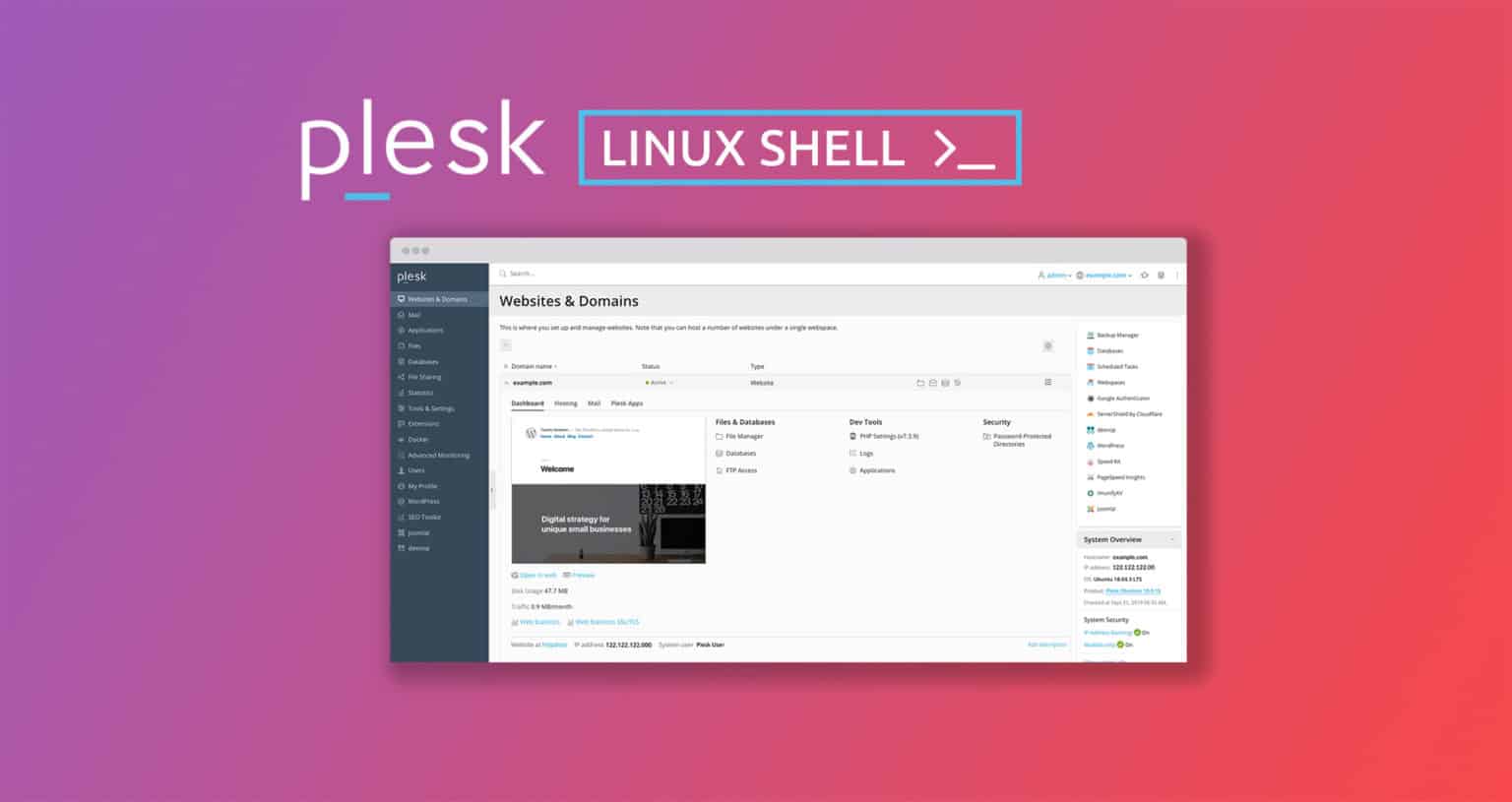 Intro To Shell CLI For Plesk Linux Websavers
