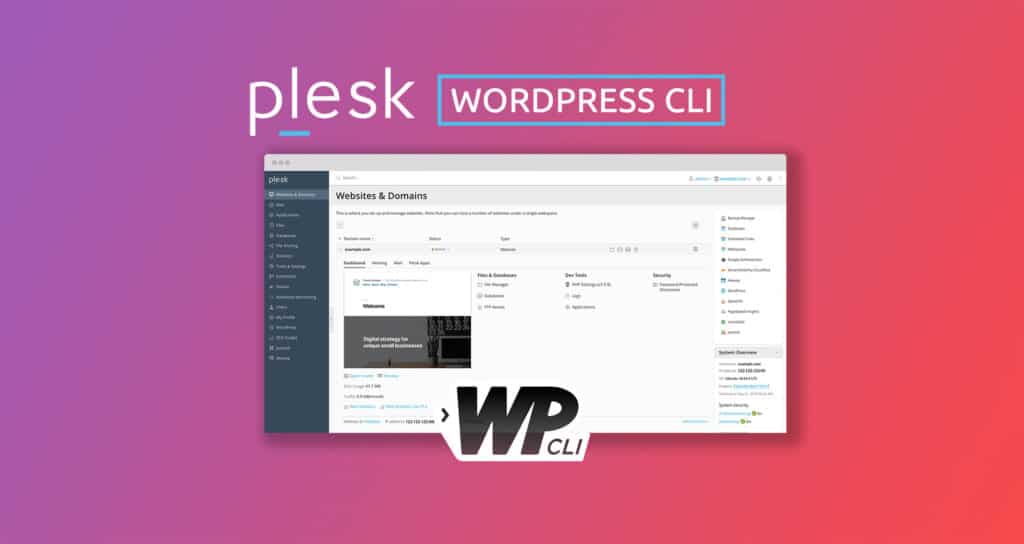 using wordpress with plesk