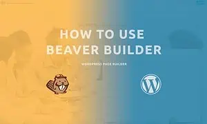 How to use Beaver Builder