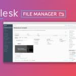 plesk-file-manager