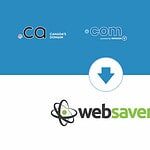 transfer domain to websavers